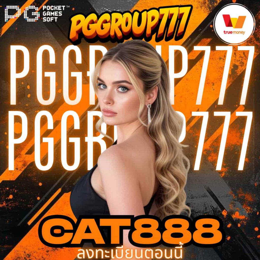 cat888